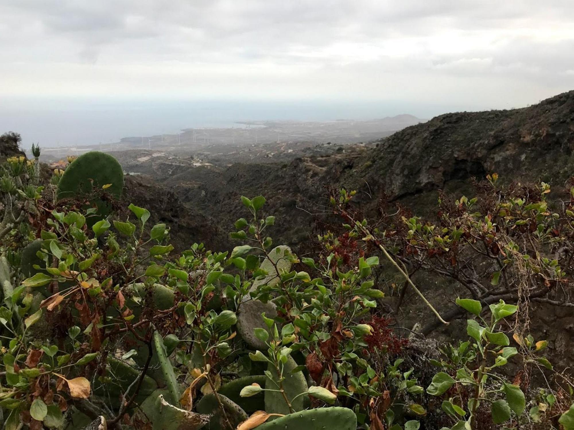 Finca Las Polinarias Casa Cueva En Fasnia Santa Cruz de Tenerife Bagian luar foto