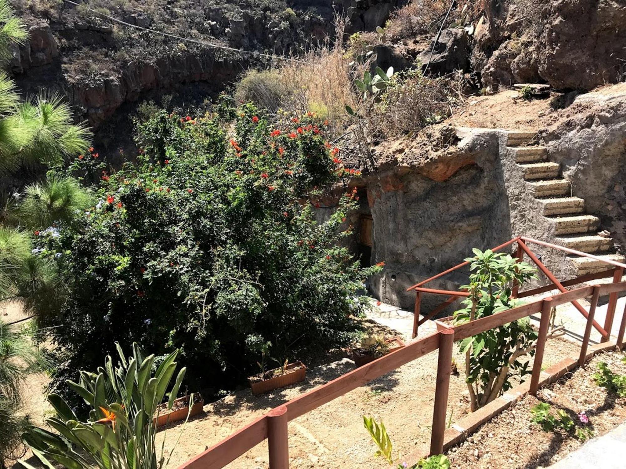 Finca Las Polinarias Casa Cueva En Fasnia Santa Cruz de Tenerife Bagian luar foto