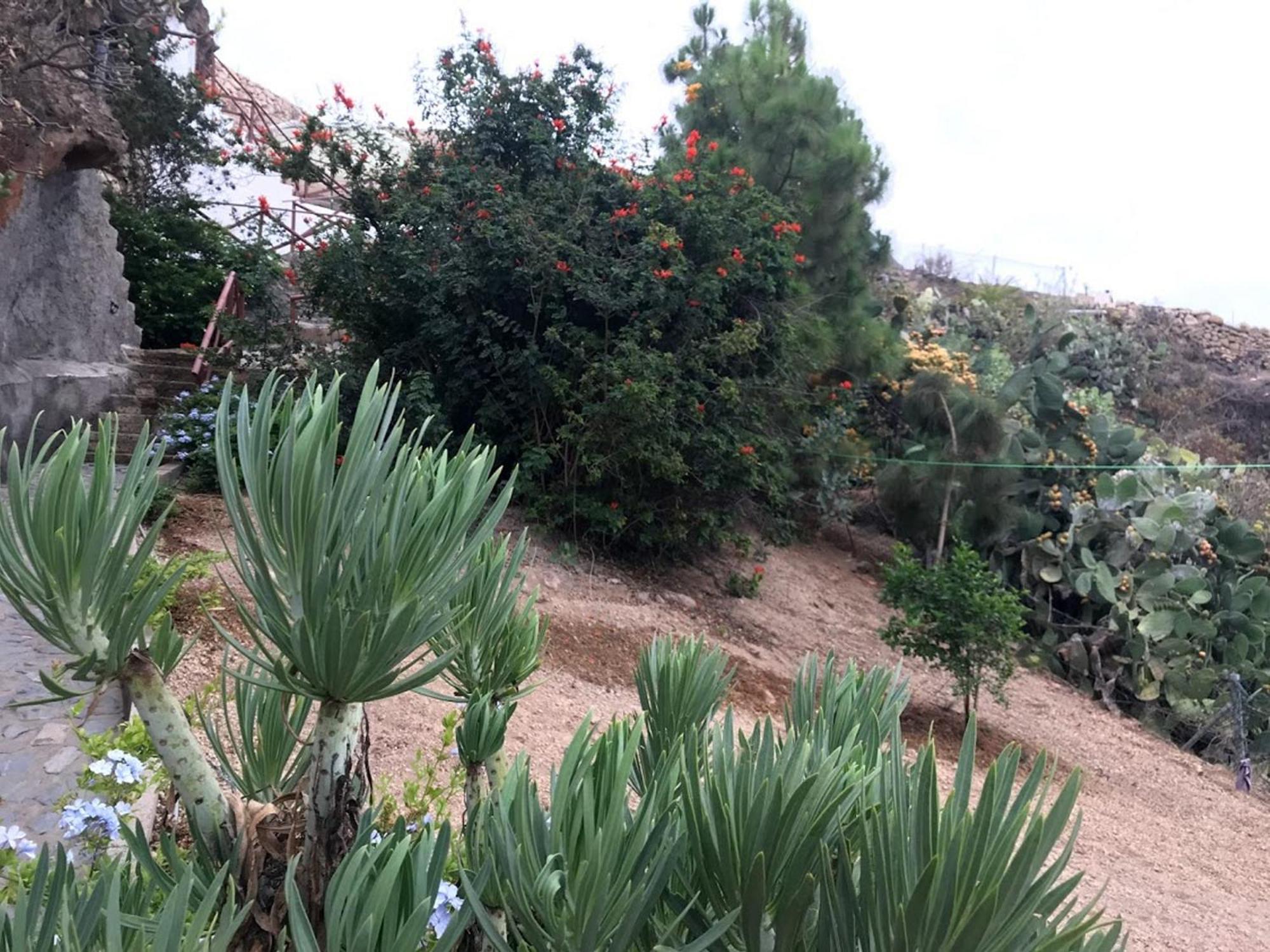 Finca Las Polinarias Casa Cueva En Fasnia Santa Cruz de Tenerife Bagian luar foto