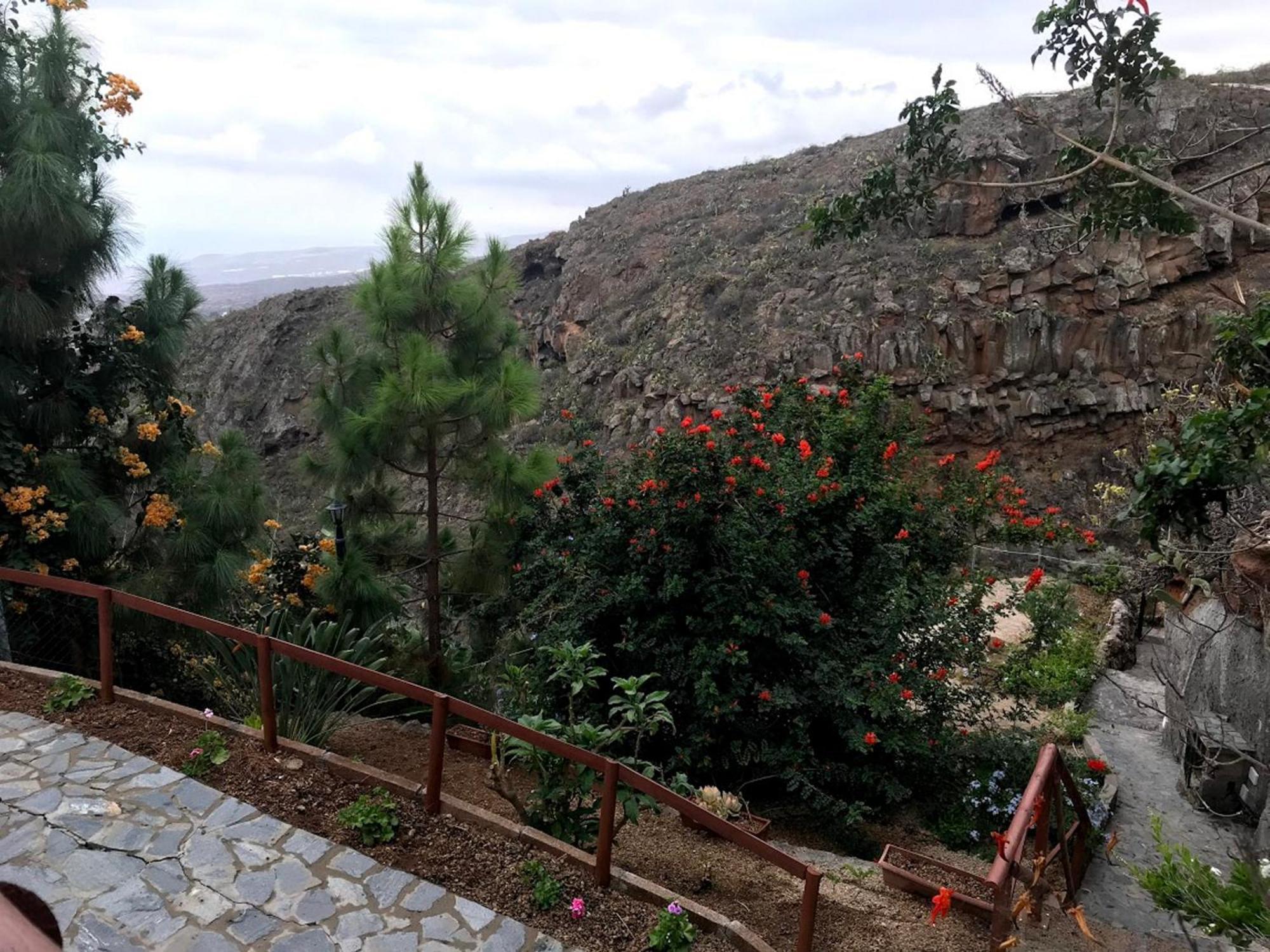 Finca Las Polinarias Casa Cueva En Fasnia Santa Cruz de Tenerife Bagian luar foto
