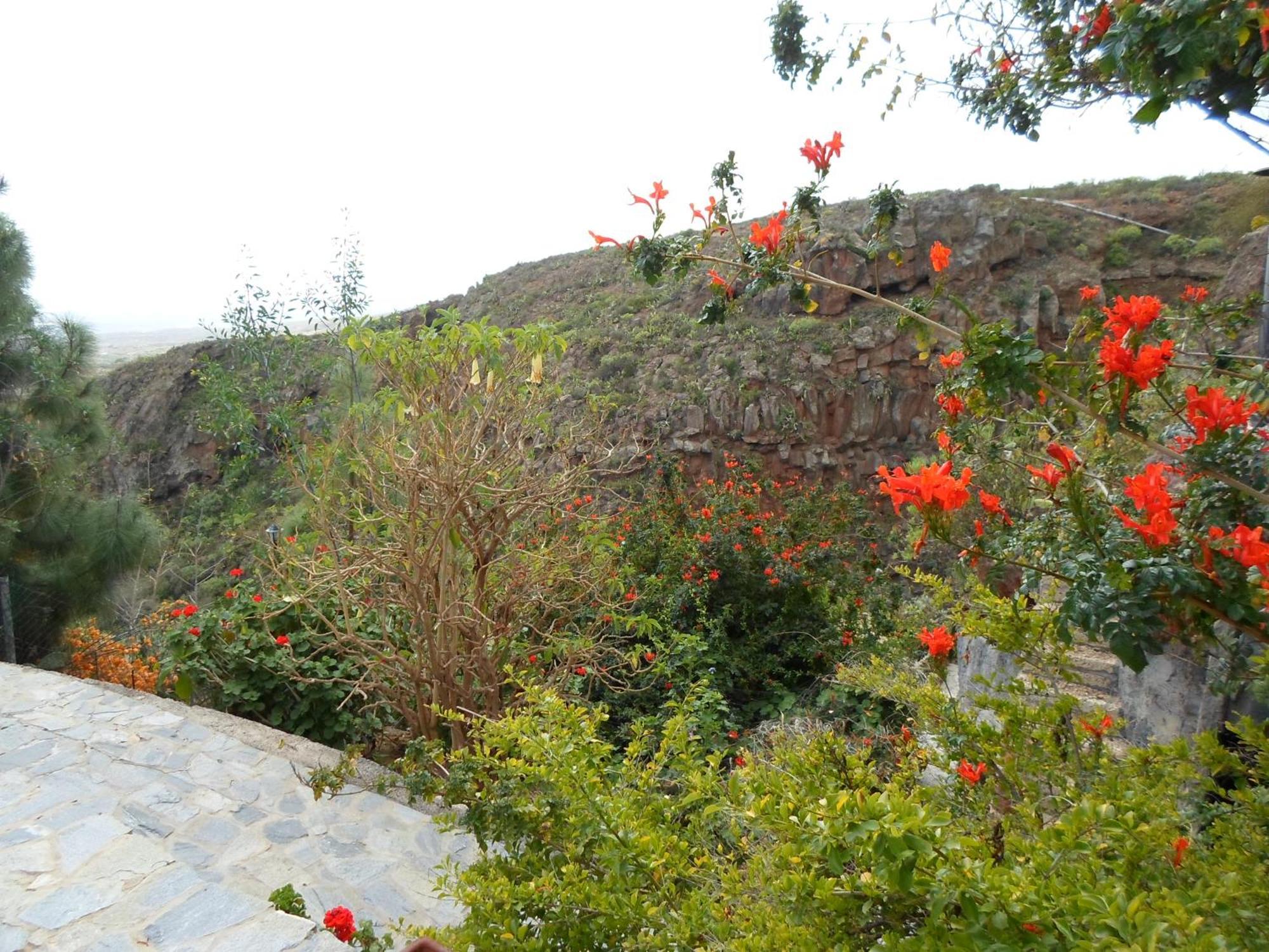 Finca Las Polinarias Casa Cueva En Fasnia Santa Cruz de Tenerife Bagian luar foto