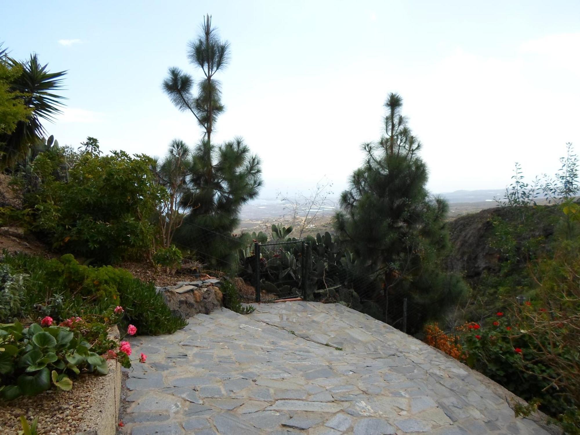 Finca Las Polinarias Casa Cueva En Fasnia Santa Cruz de Tenerife Bagian luar foto